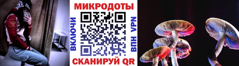 Псилоцибиновые грибы MAGIC MUSHROOMS darknet телеграм Канск