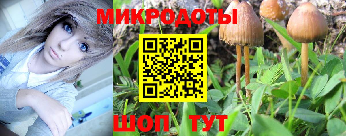 Псилоцибиновые грибы GOLDEN TEACHER Канск